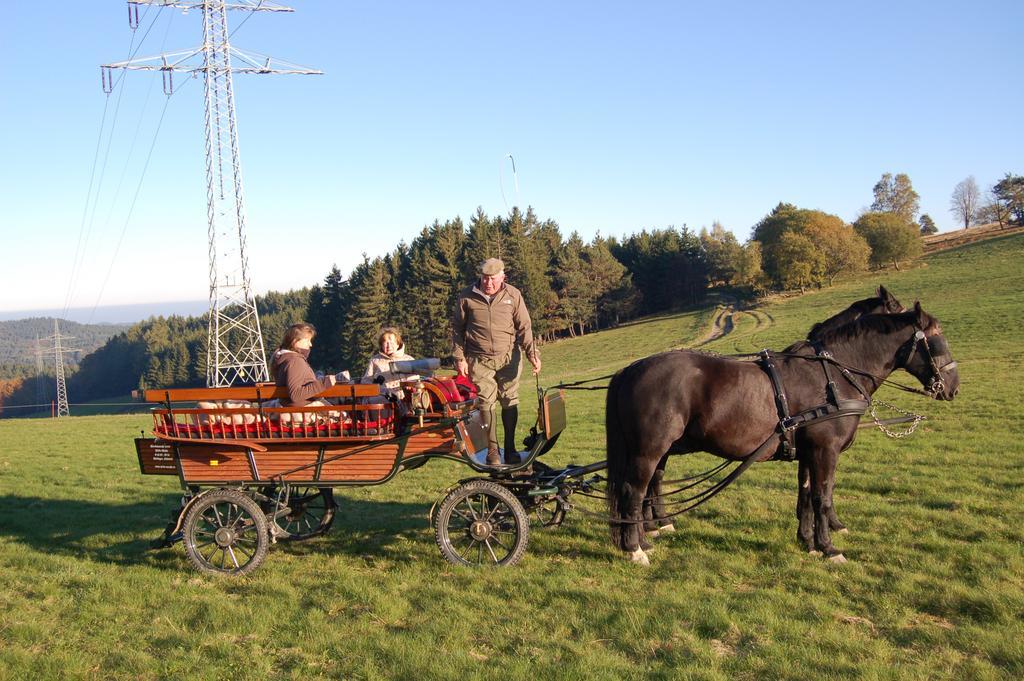 Ferienwohnungen Westfalenhof 빌링겐 외부 사진