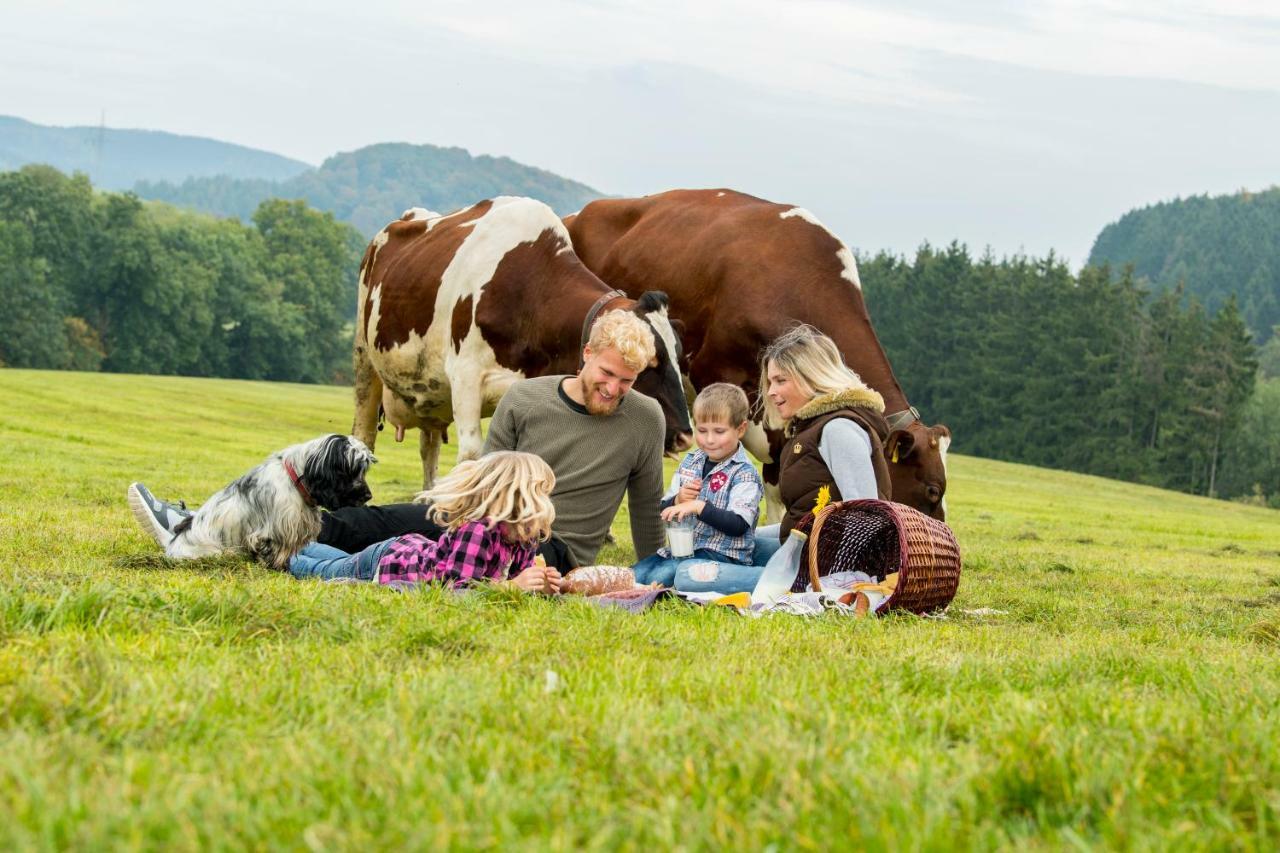 Ferienwohnungen Westfalenhof 빌링겐 외부 사진